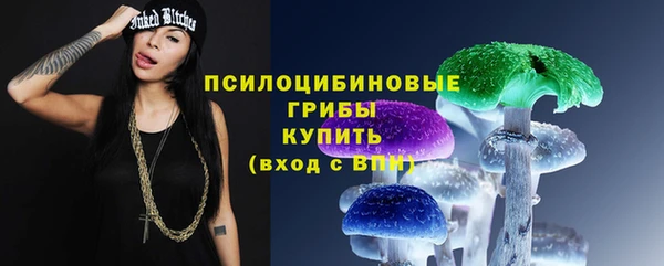 круглые Сосновый Бор