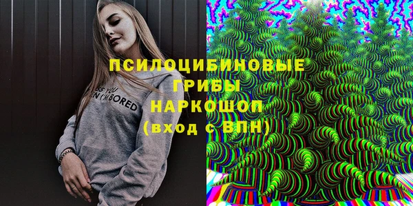 ешки Белокуриха
